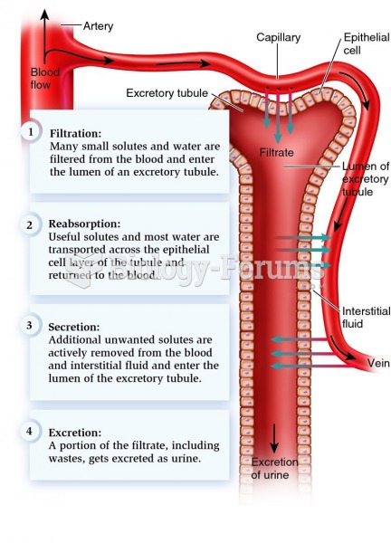 Basic features of the function of many excretory systems.