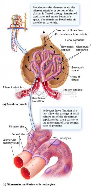 The structure and function of the renal corpuscle.