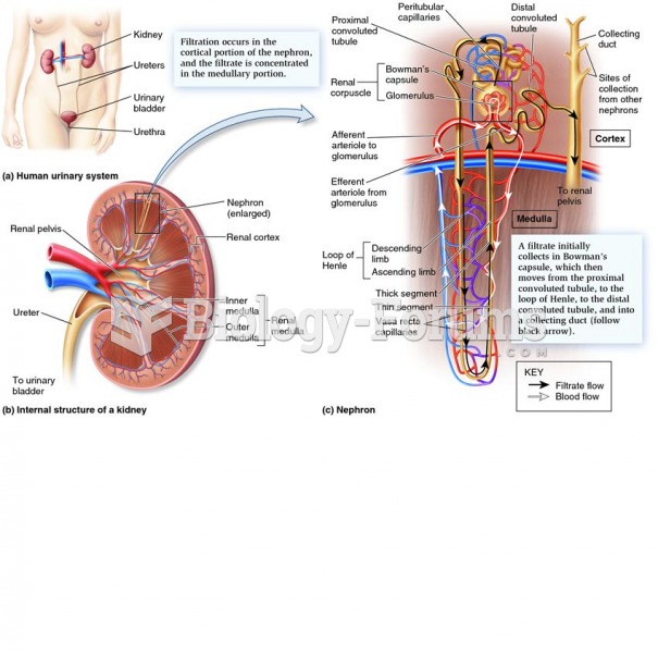 The mammalian urinary system including the basic functional unit of the nephron.