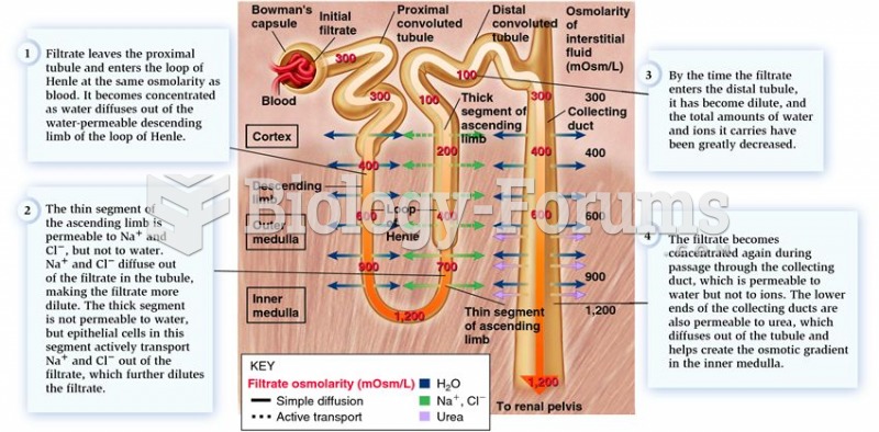 Tubule permeabilities and concentrations of the filtrate in the loop of Henle and collecting duct.