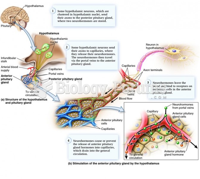 Structure and function of the hypothalamus and pituitary gland.