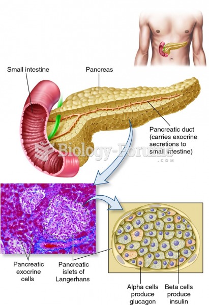 Location, appearance, and internal structure of the mammalian pancreas.