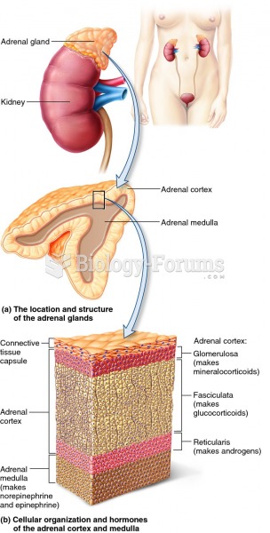 Location and cellular arrangement of the adrenal glands.