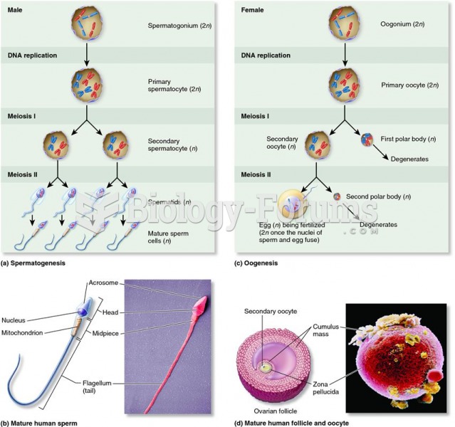 Gametogenesis and gametes in males and females.