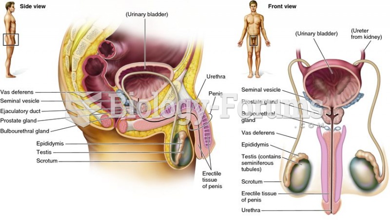 Male reproductive structures in humans.