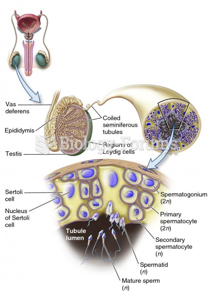 The structure and function of the human testis.