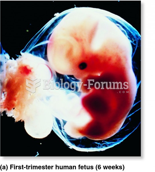 Prenatal development in humans.