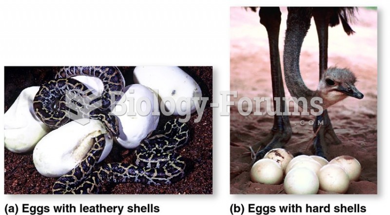 Oviparity in terrestrial animals.