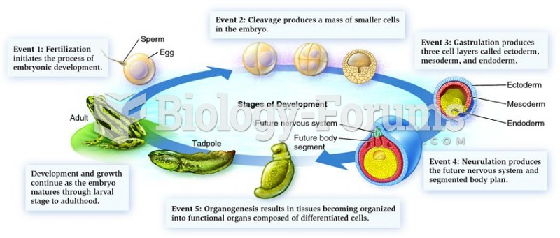 Overview of development of embryonic stages.
