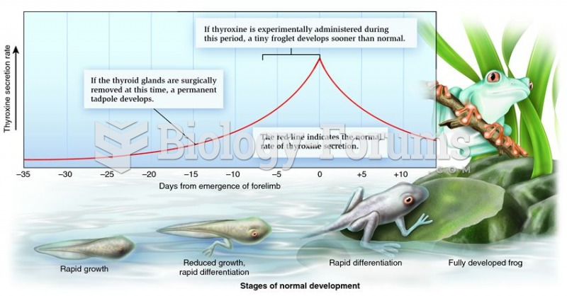 The effect of thyroid hormones on tadpole development