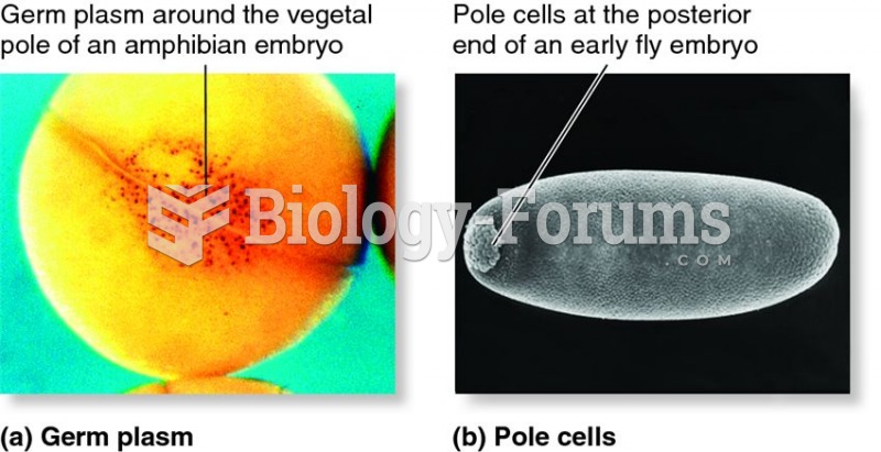 Germ plasm and primordial germ cells (PGC) during gastrulation.