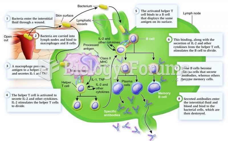 Summary of events in a typical humoral immune response.