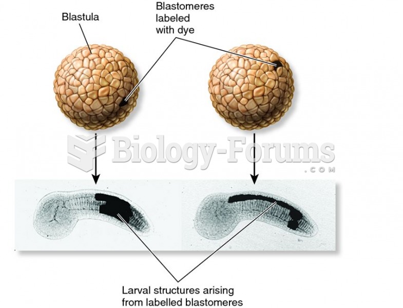 Fate mapping during embryonic development.