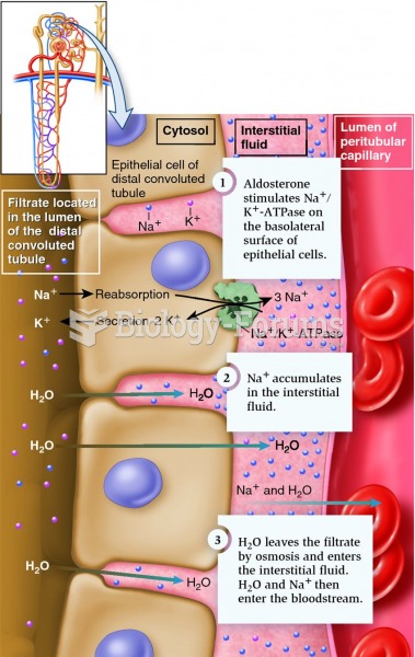 Action of aldosterone on distal convoluted tubule epithelial cells.