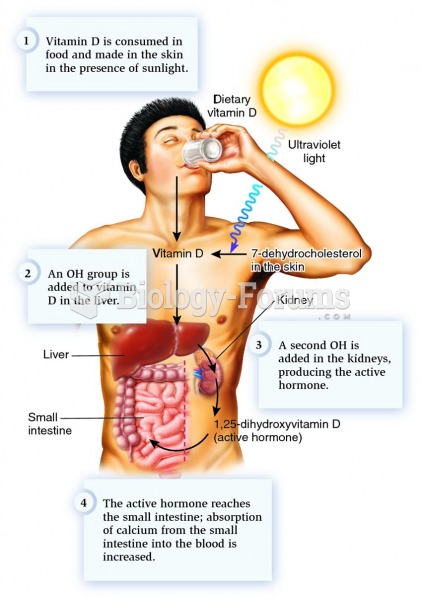 Synthesis of the active hormone formed from vitamin D or its precursor in skin.