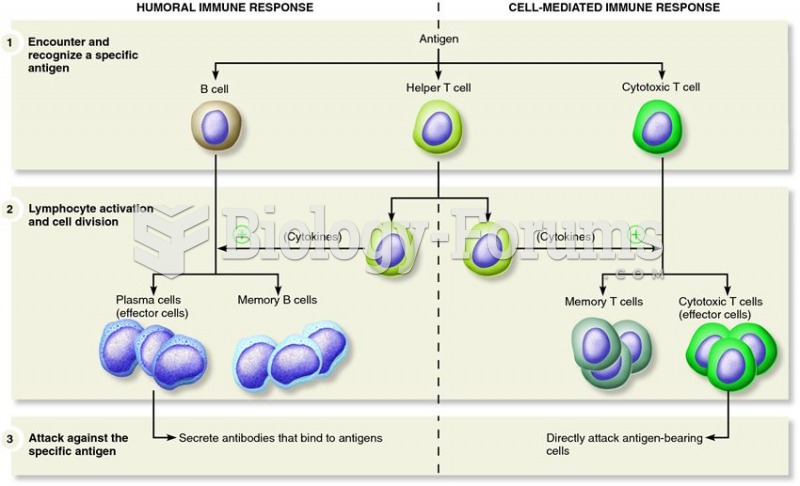 The three stages of a specific immune response.