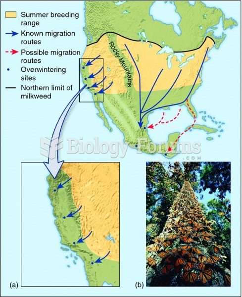 Monarch butterfly migration.