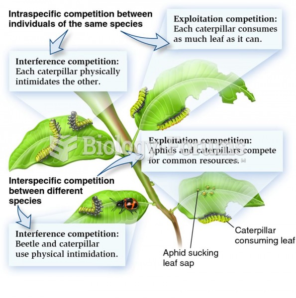 The different types of competition in nature.