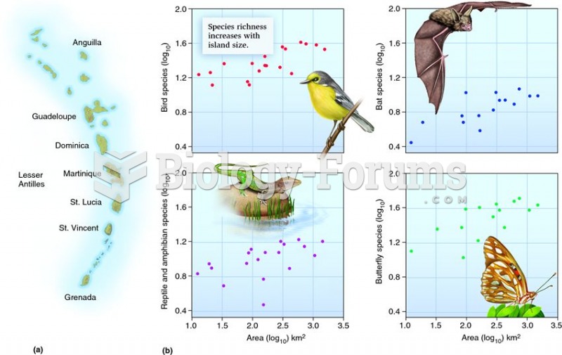 Species richness increases with island size.