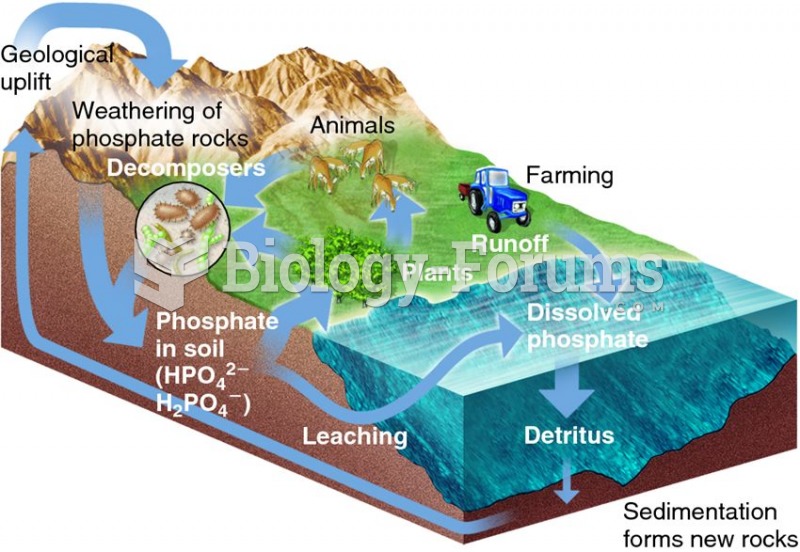 The phosphorus cycle.