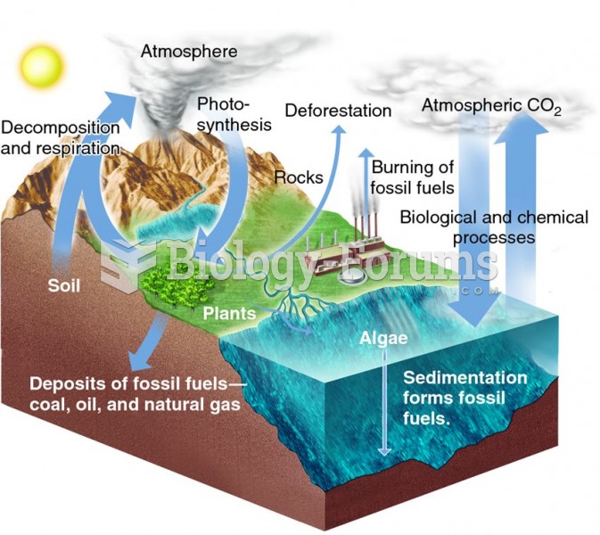 The carbon cycle.