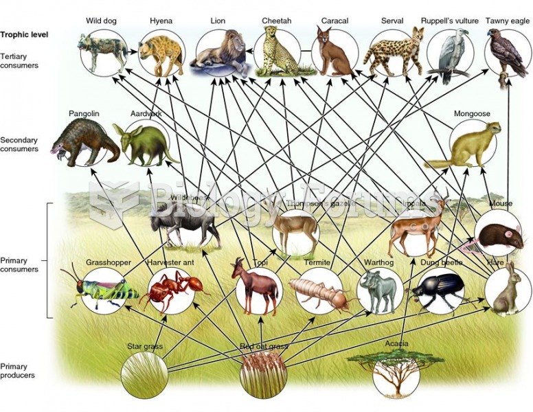 A simplified food web from an African savannah ecosystem