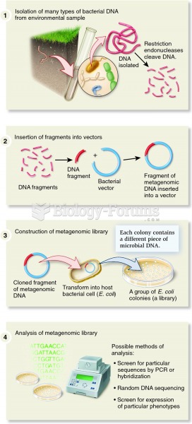 The standard protocol of a metagenomics experiment.