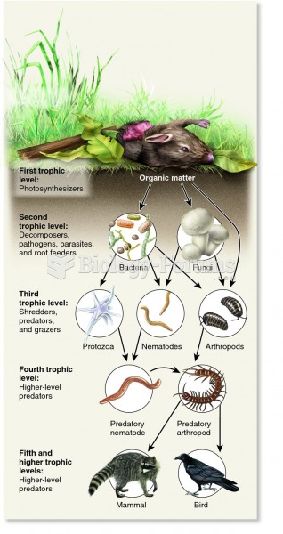 Decomposers (detritivores) feeding on dead plant and animal matter.