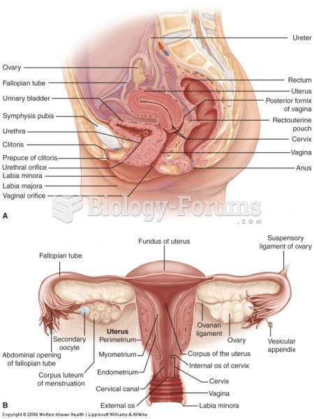 The internal female reproductive organs