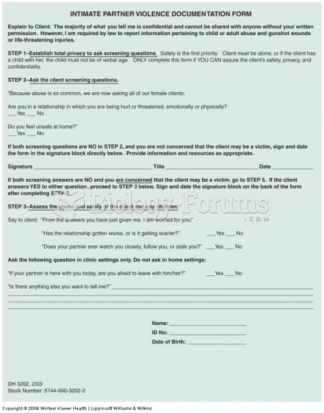 Intimate partner violence documentation form. (