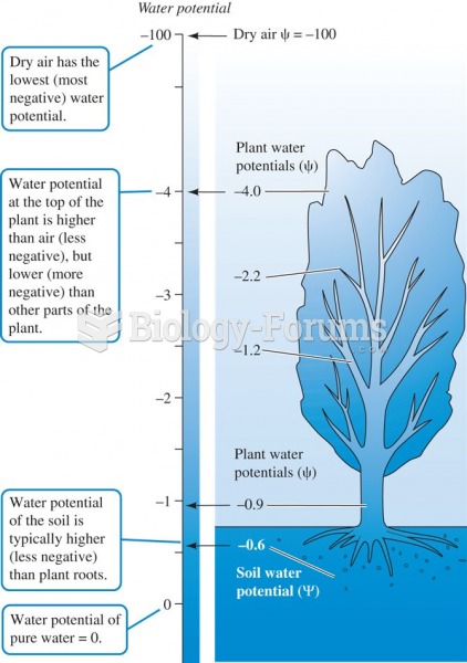 Water potentials decrease (become more negative) as one moves from soil to plant to atmosphere