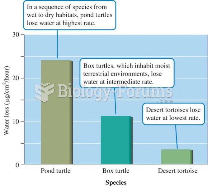 Rates of water loss by two turtles and a tortoise indicate an inverse relationship between the dryne