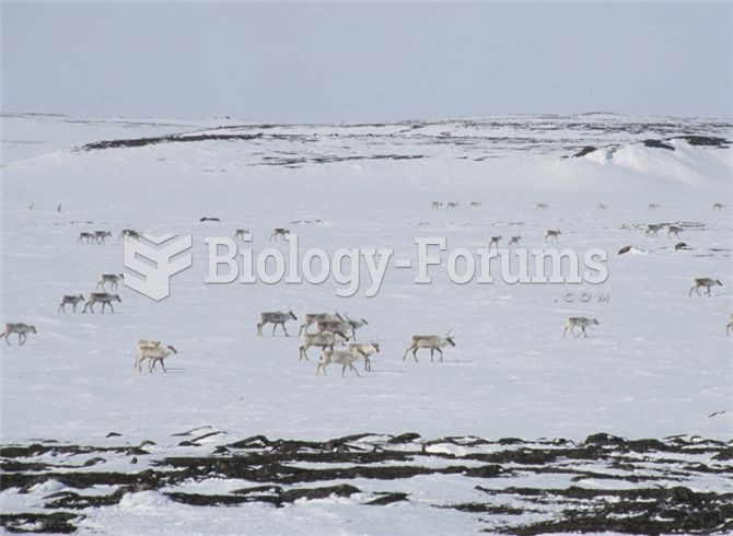 Organisms exhibit a diversity of behaviours, which include (clockwise from upper left), foraging and