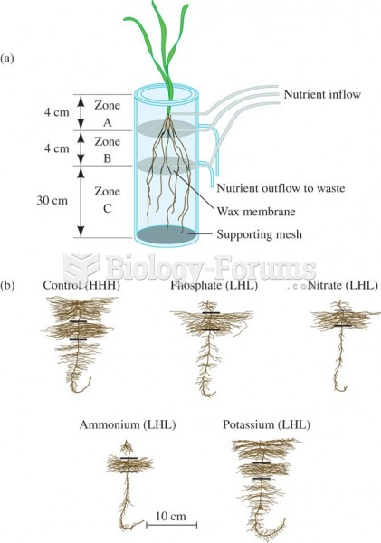 Plants responded by non-uniform root growth.