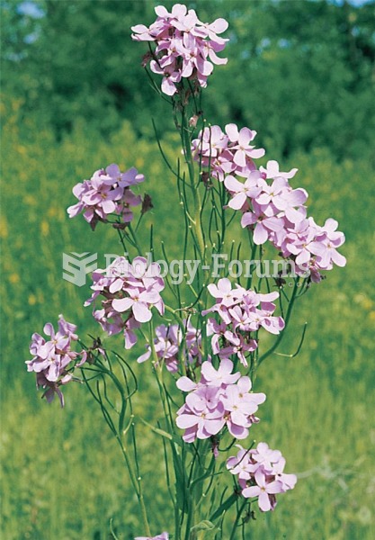 The wild radish, Raphanus sativus, has become a model for studying the mating behaviour of plants.