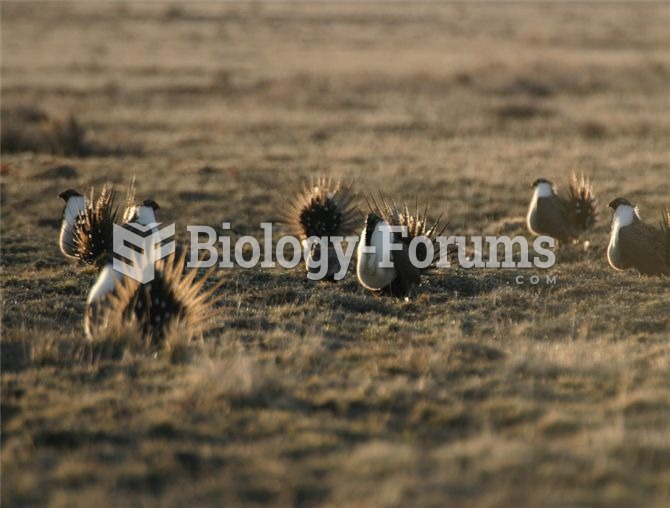 Organisms exhibit a diversity of behaviours, which include (clockwise from upper left), foraging and