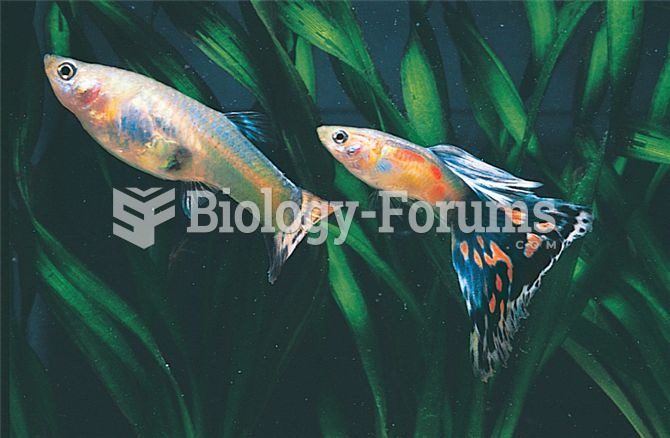 A colourful male guppy courting a female guppy: What are the influences of mate selection by female 
