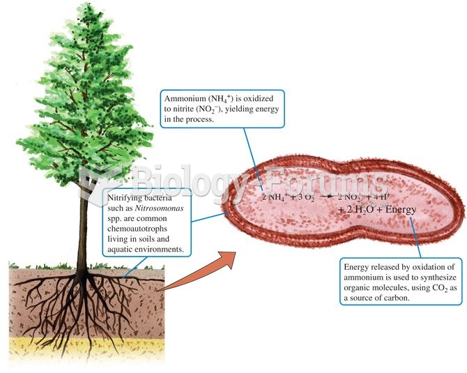 Ammonium as an energy source for chemoautotrophic bacteria in soil.