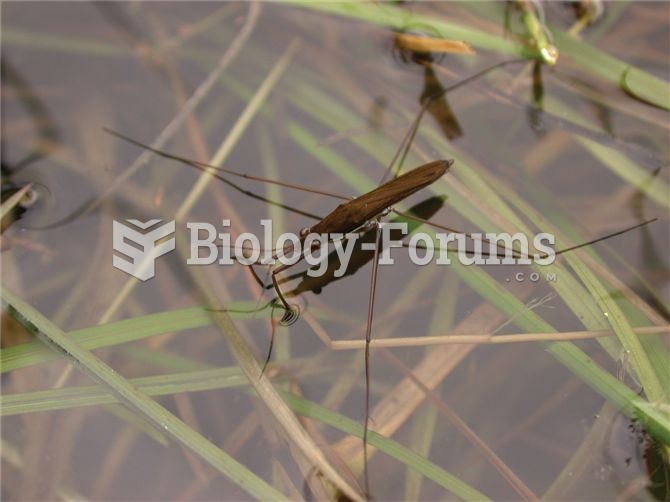 Water striders serve as a model organism for the study of sexual conflict between males and females.