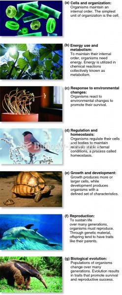 Seven characteristics are common to all life