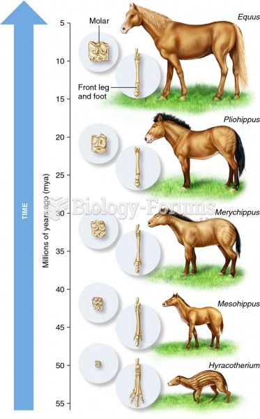 Evolutionary changes that led to the modern horse.