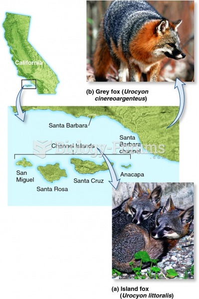 The evolution of an endemic island species from a mainland species.