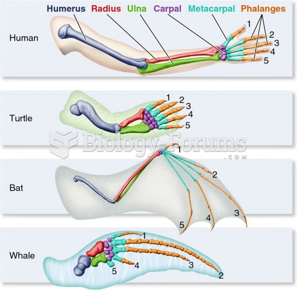 An example of anatomical homology: homologous structures found in vertebrates.