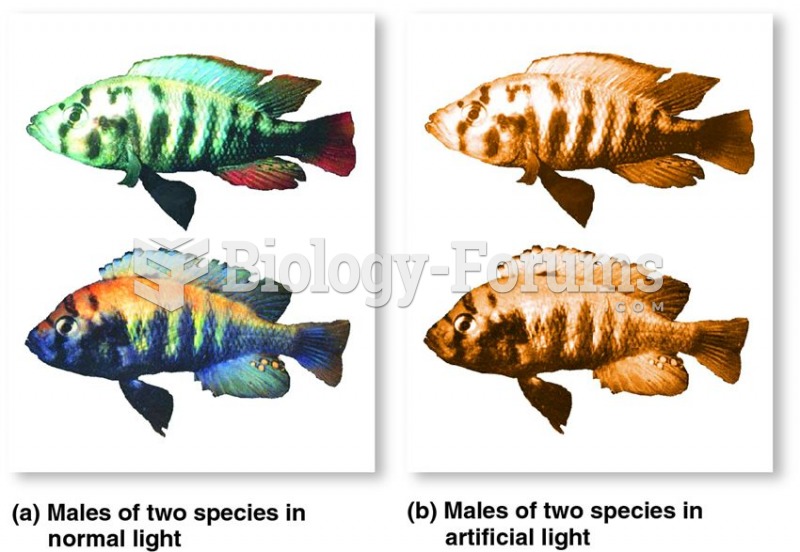 Male coloration in African cichlids.