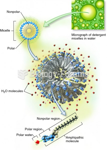 The formation of micelles by amphipathic molecules