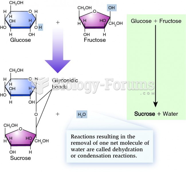 Formation of a disaccharide