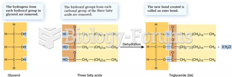 The formation of a fat