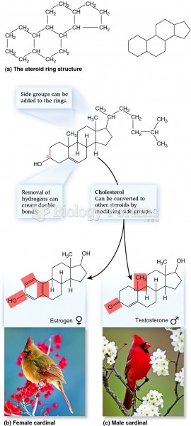 Structure of cholesterol and steroid hormones derived from cholesterol