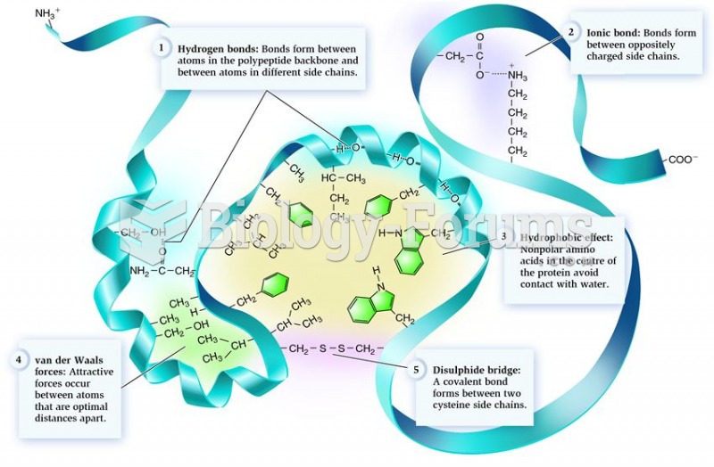 The factors that influence protein folding and stability.