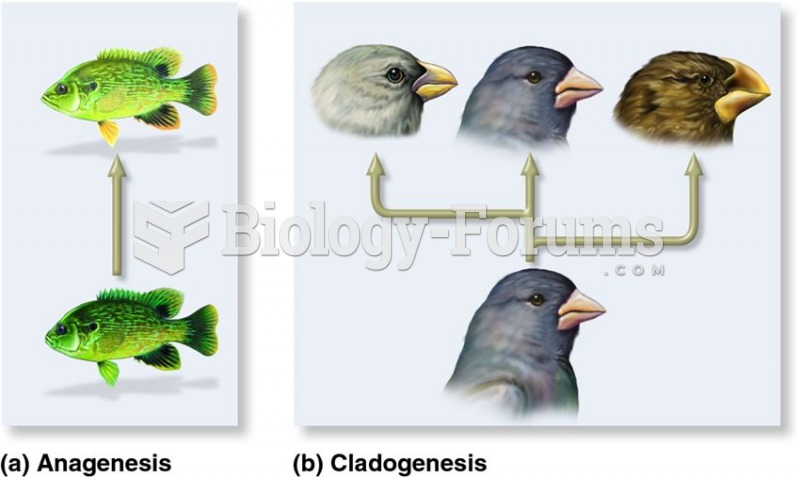 A comparison between anagenesis and cladogenesis: two patterns of speciation.